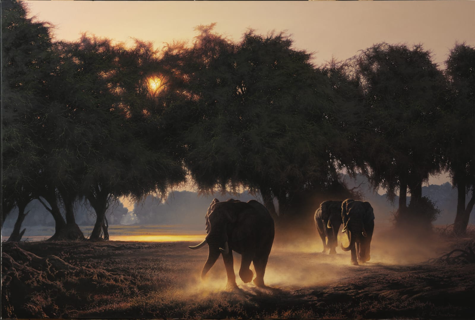 Paul Augustinus, Refugia Series - Zambezi Valley and the Sapii Floodplain