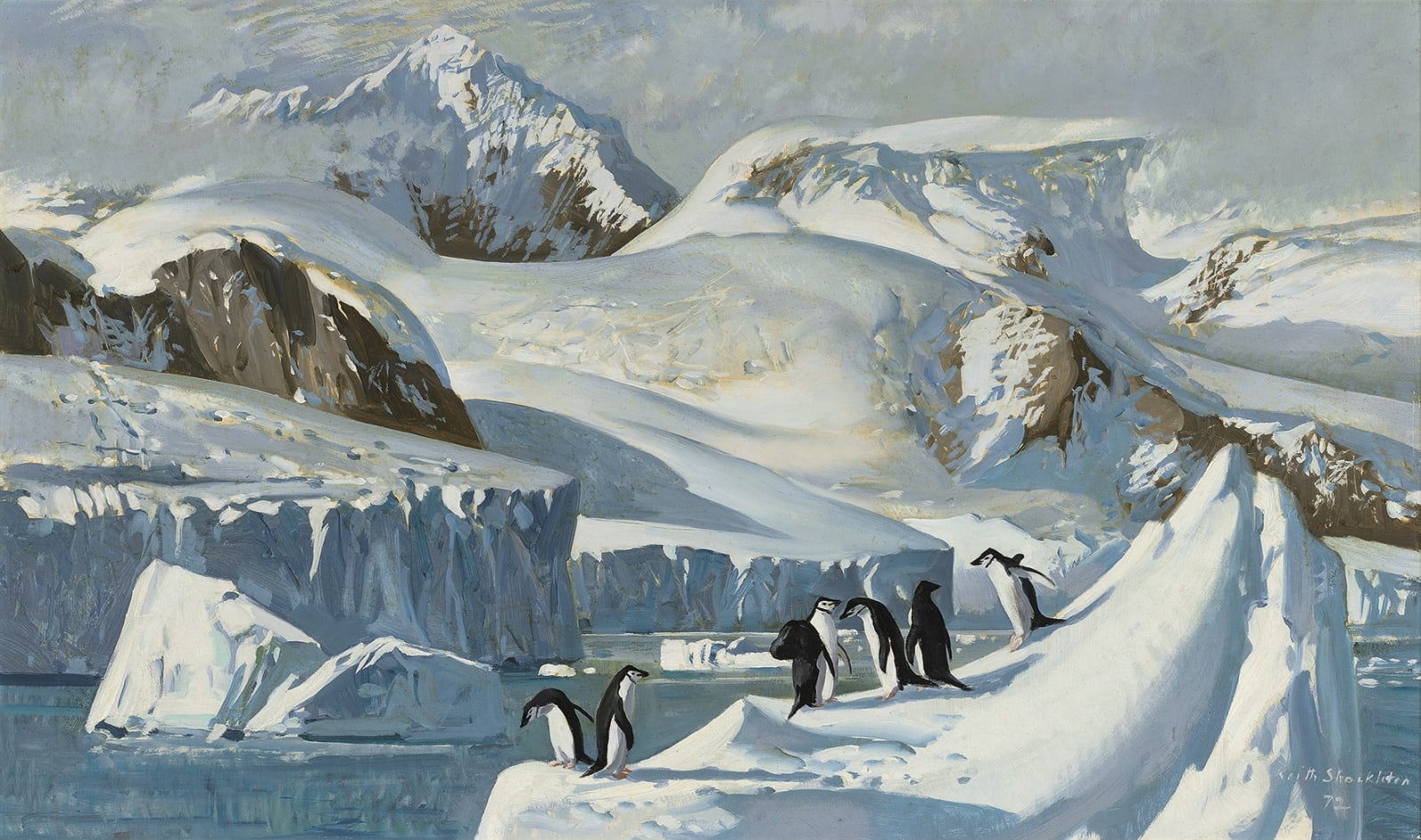 Keith Hope Shackleton, MBE, Chinstrap penguins near the water's edge, Antarctica