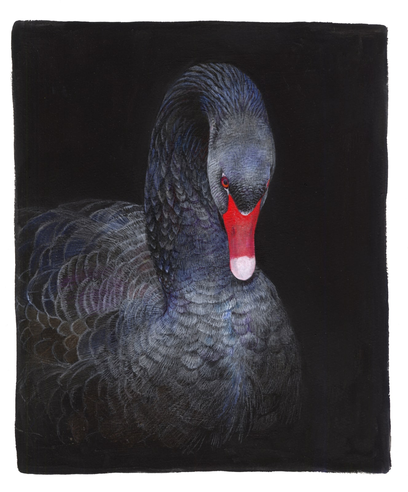 Emma Faull, Black Swan