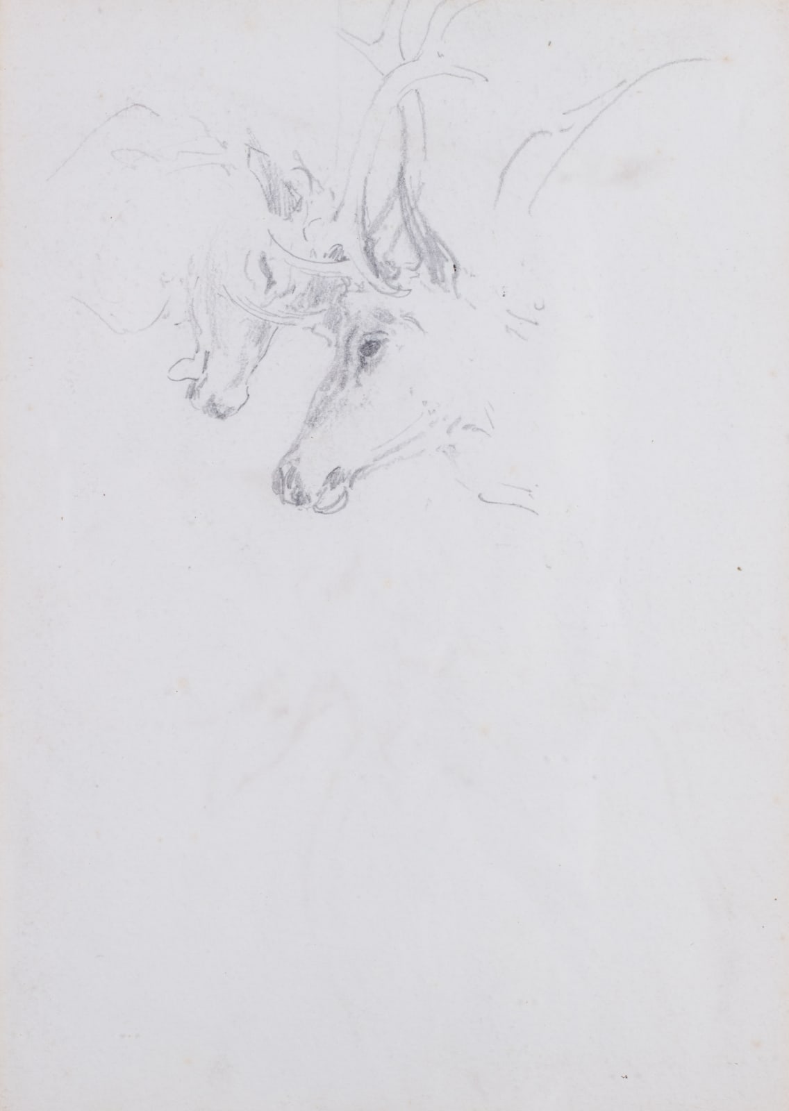 William Woodhouse, Double-sided Stalking study I