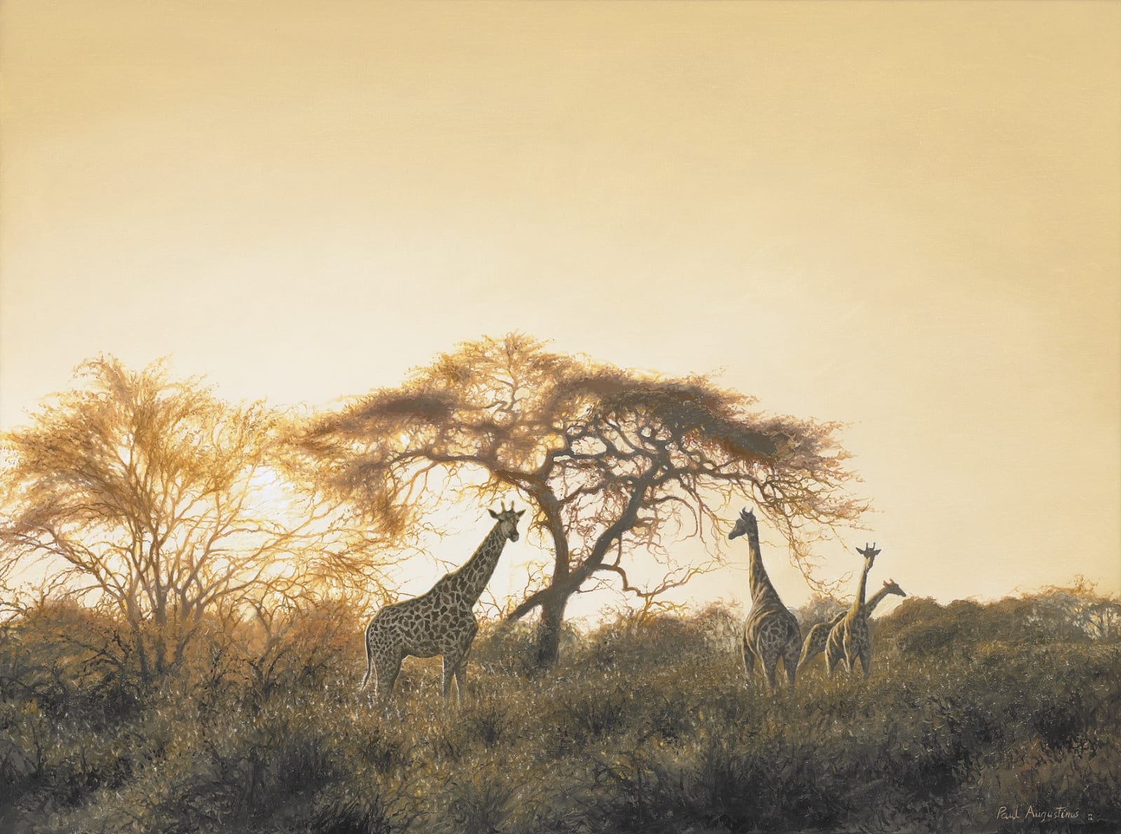 Paul Augustinus, Dawn