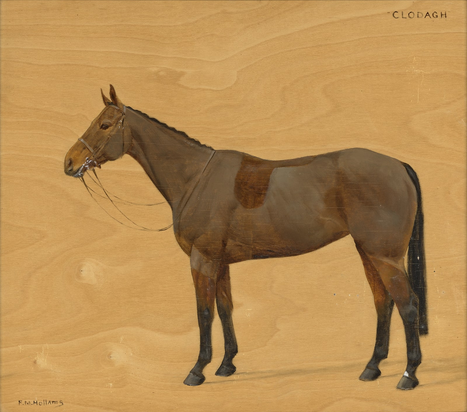 Florence Mabel Hollams, Clodagh