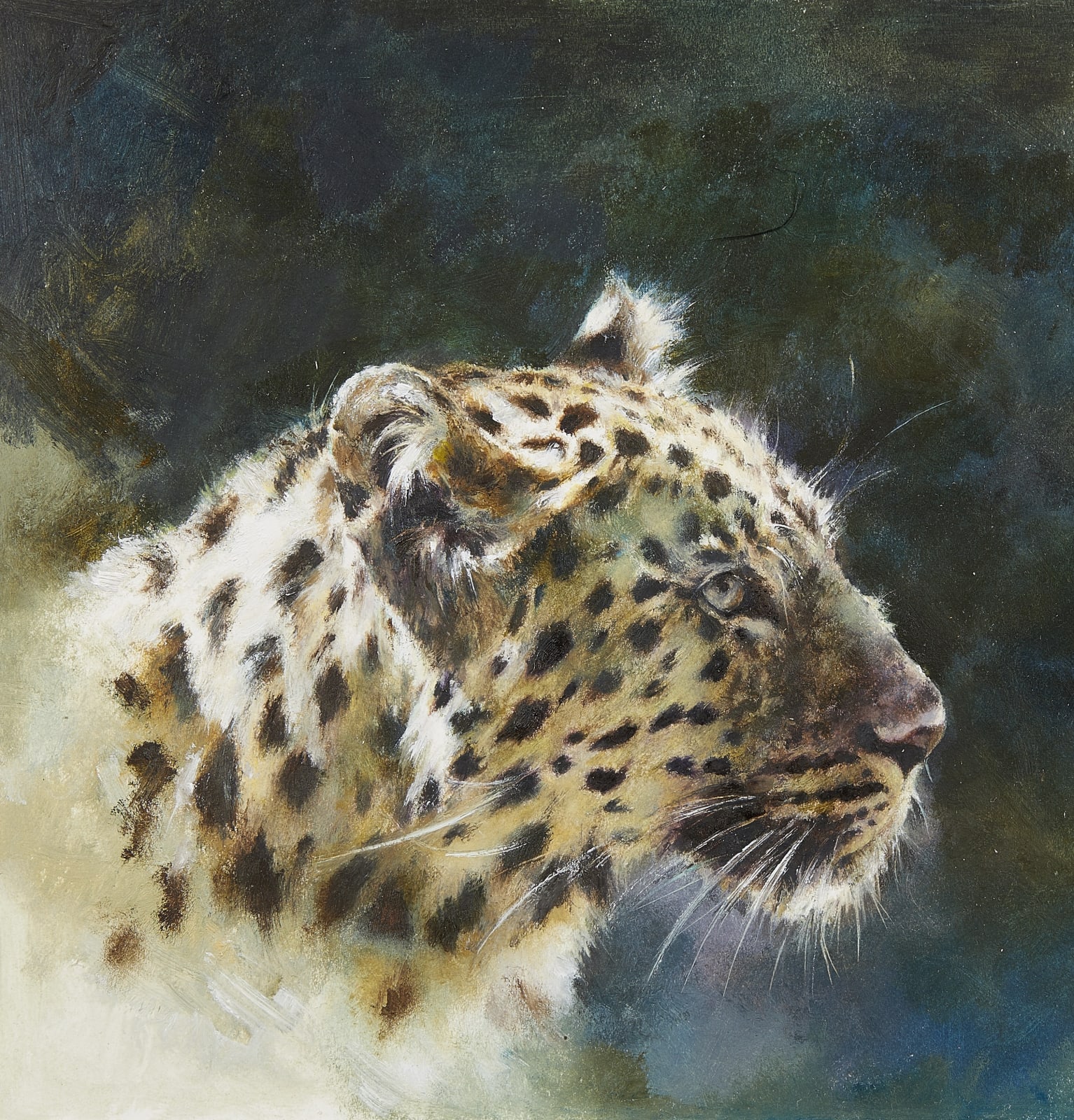 Mandy Shepherd, Leopard