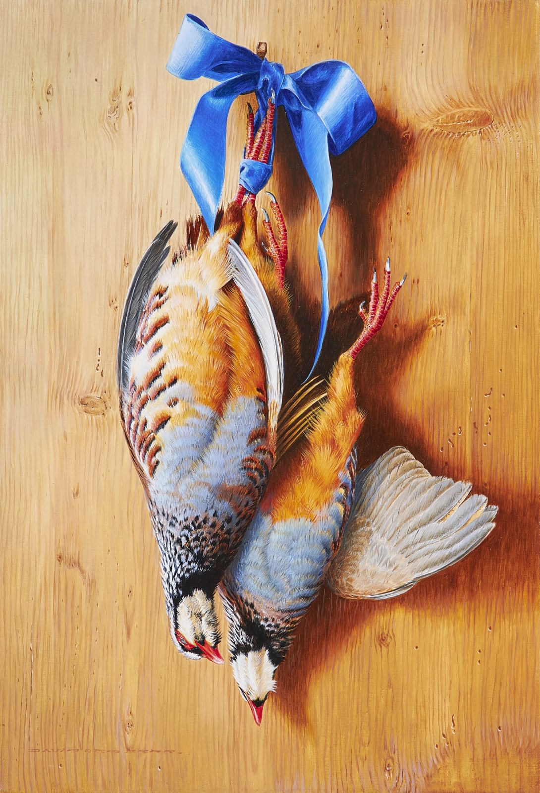 David Ord Kerr, Red-legged Partridge