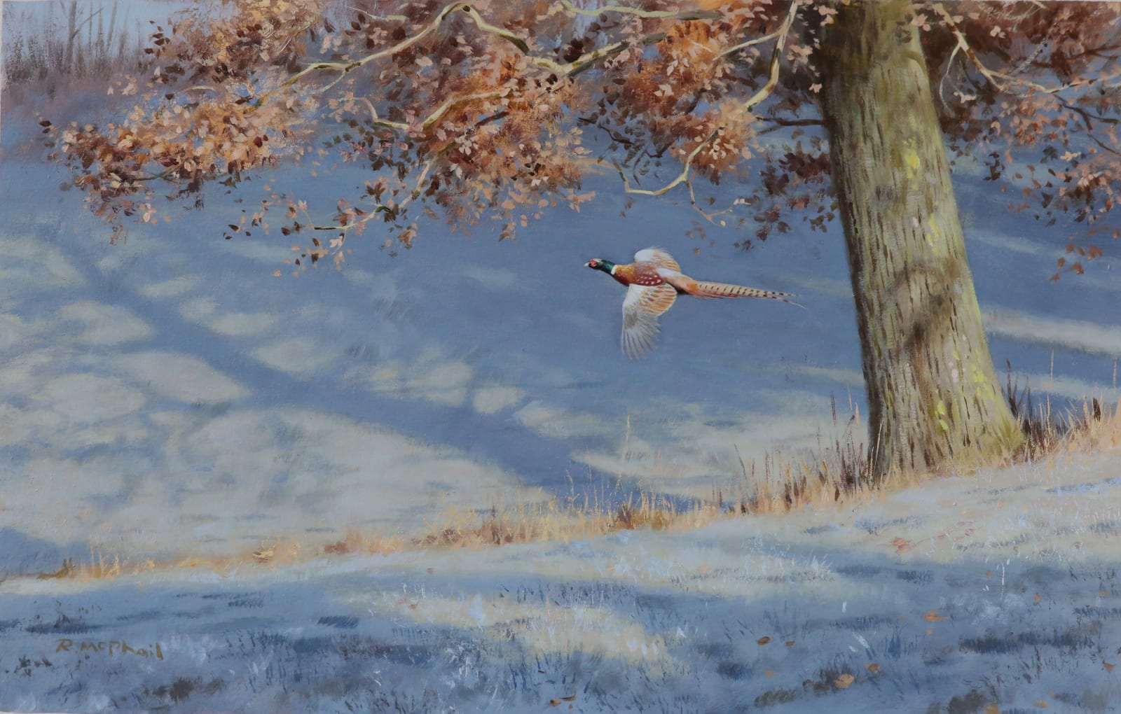 Rodger McPhail, Frosty Pheasant