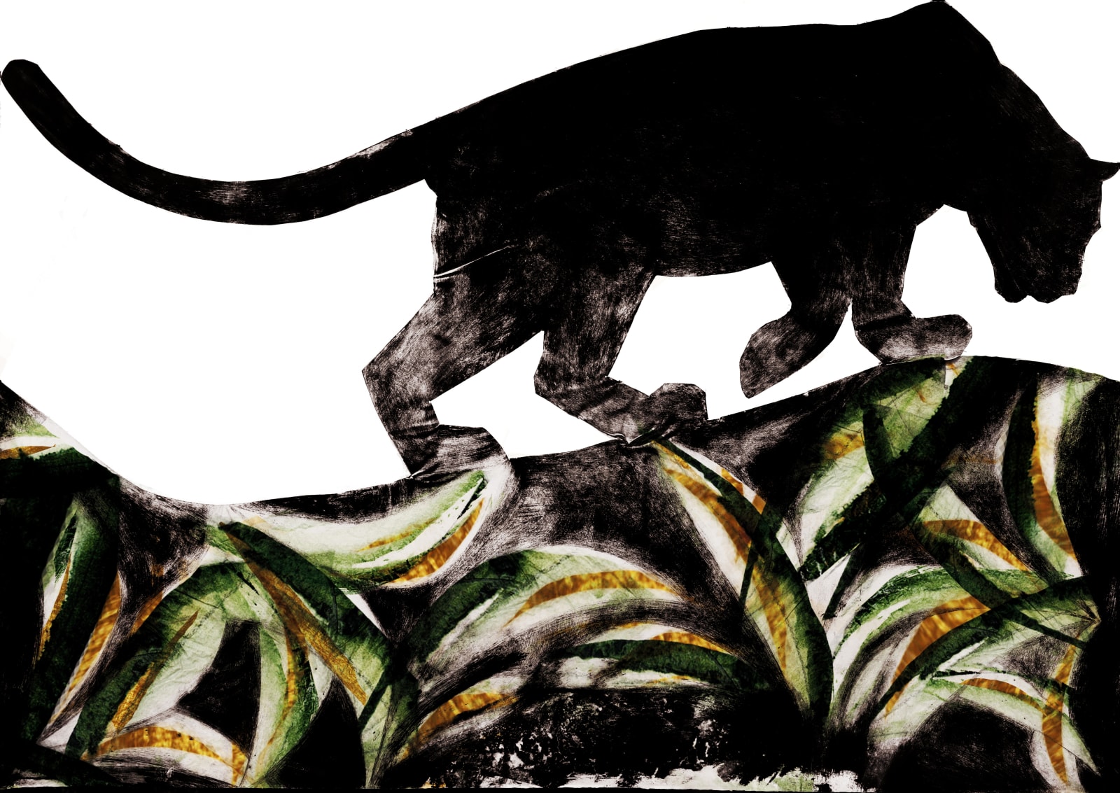 Beatrice Forshall, Panther