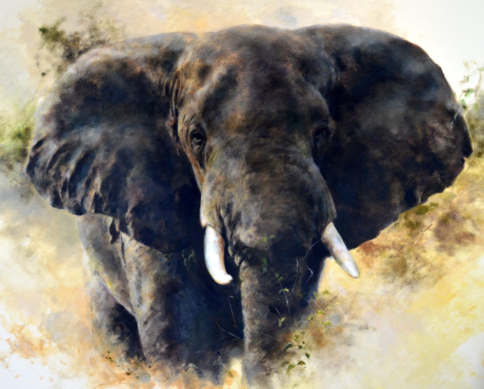 Mandy Shepherd, In charge, Elephant