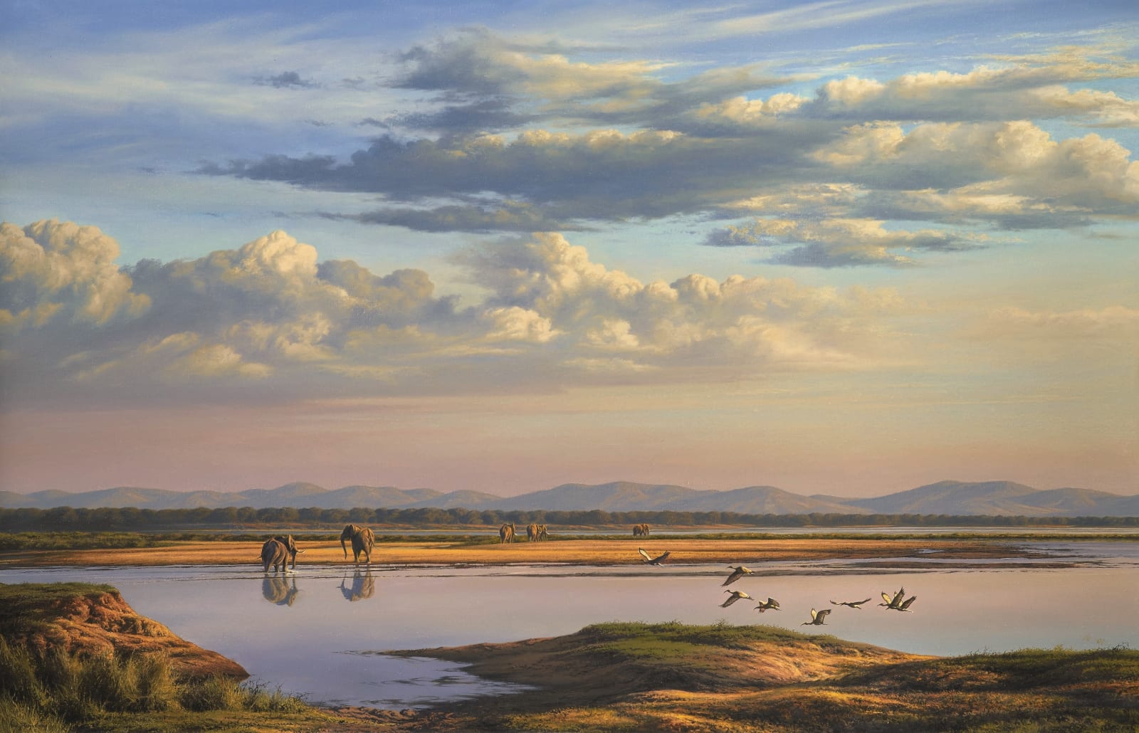Paul Augustinus, Zambezi valley, elephants and birds