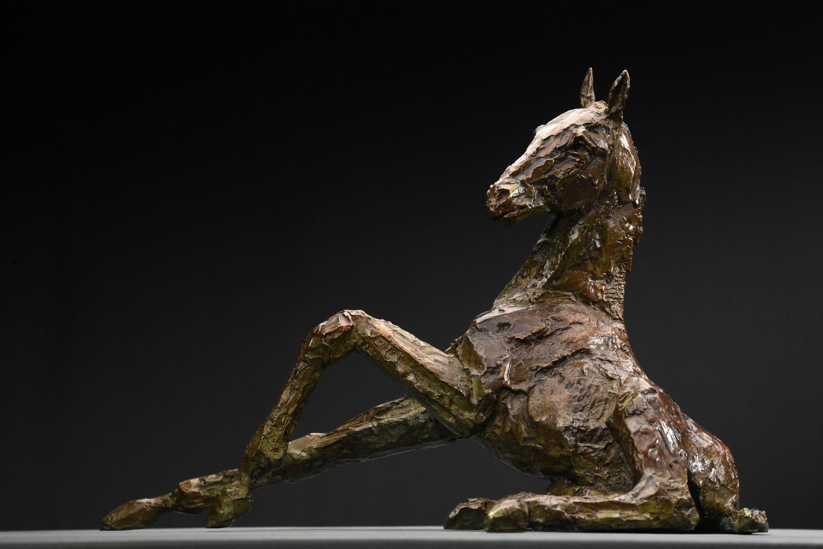 Holly Hickmore, Rose in a mullion