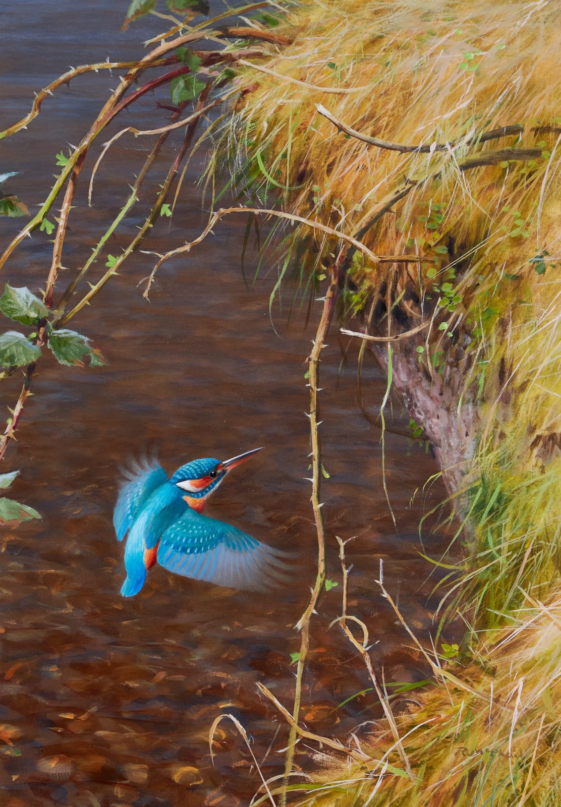 Rodger McPhail, Kingfisher