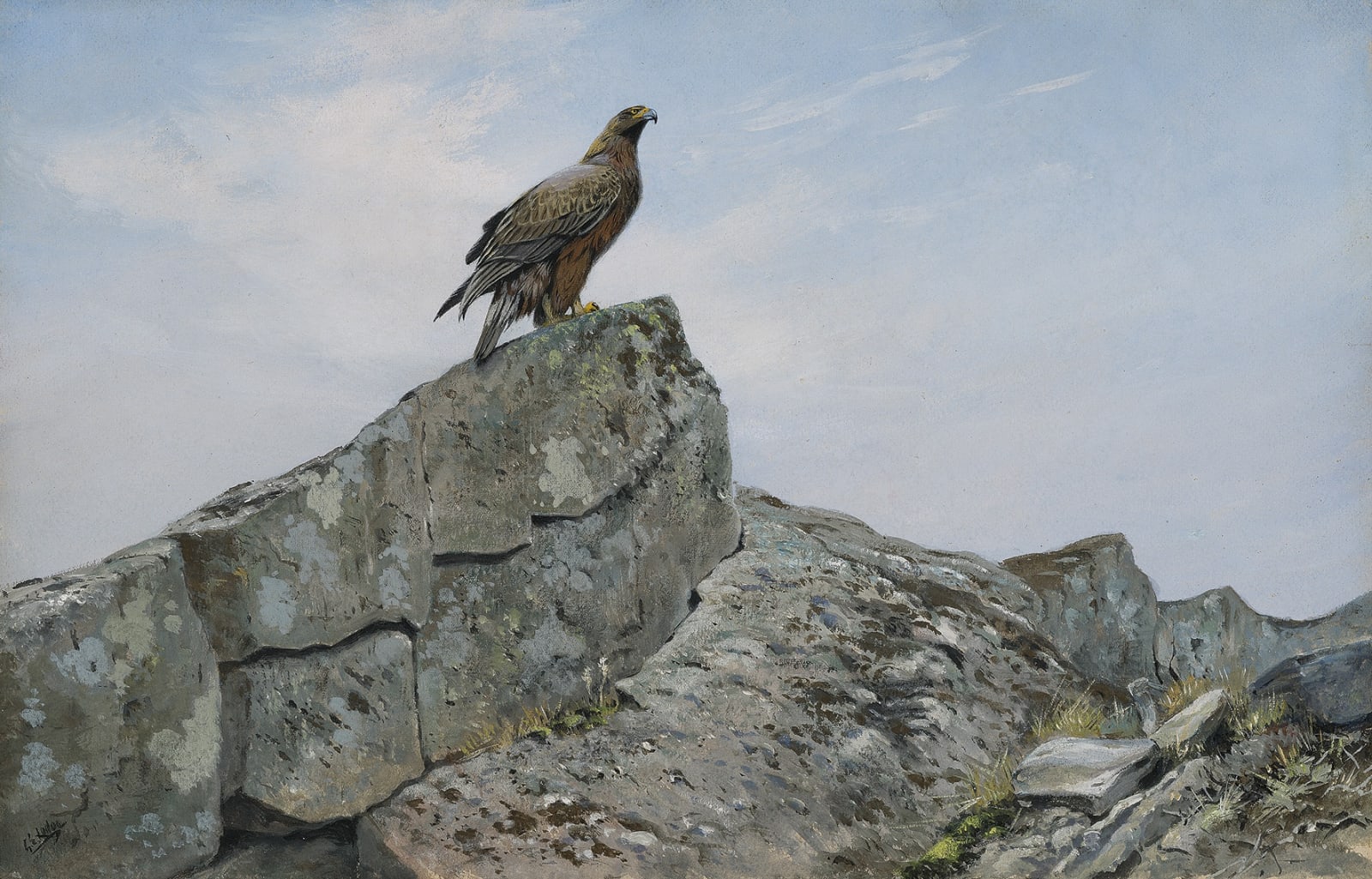 George Edward Lodge, Golden Eagle