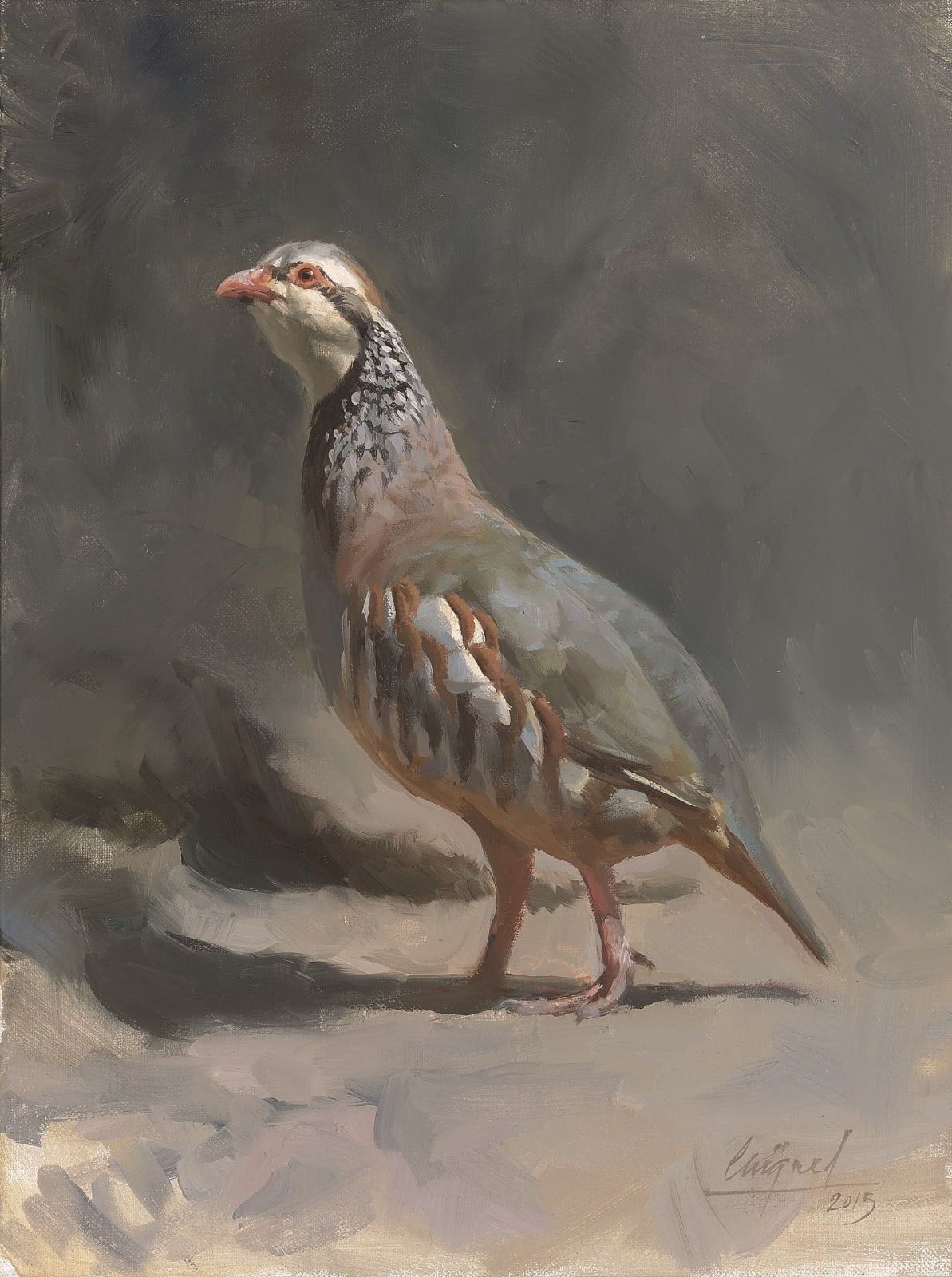 Miguel Angel Moraleda, Female red-legged partridge