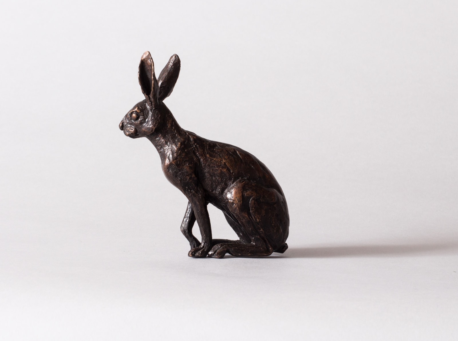 Camilla Le May, Little Hare