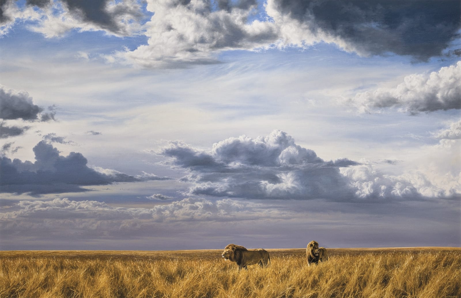 Paul Augustinus, Dirisha, Sea of Grass