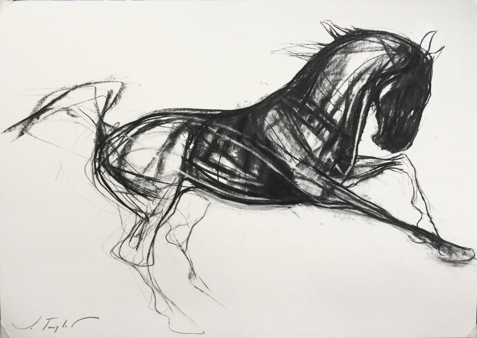 Jo Taylor, Flying Angel