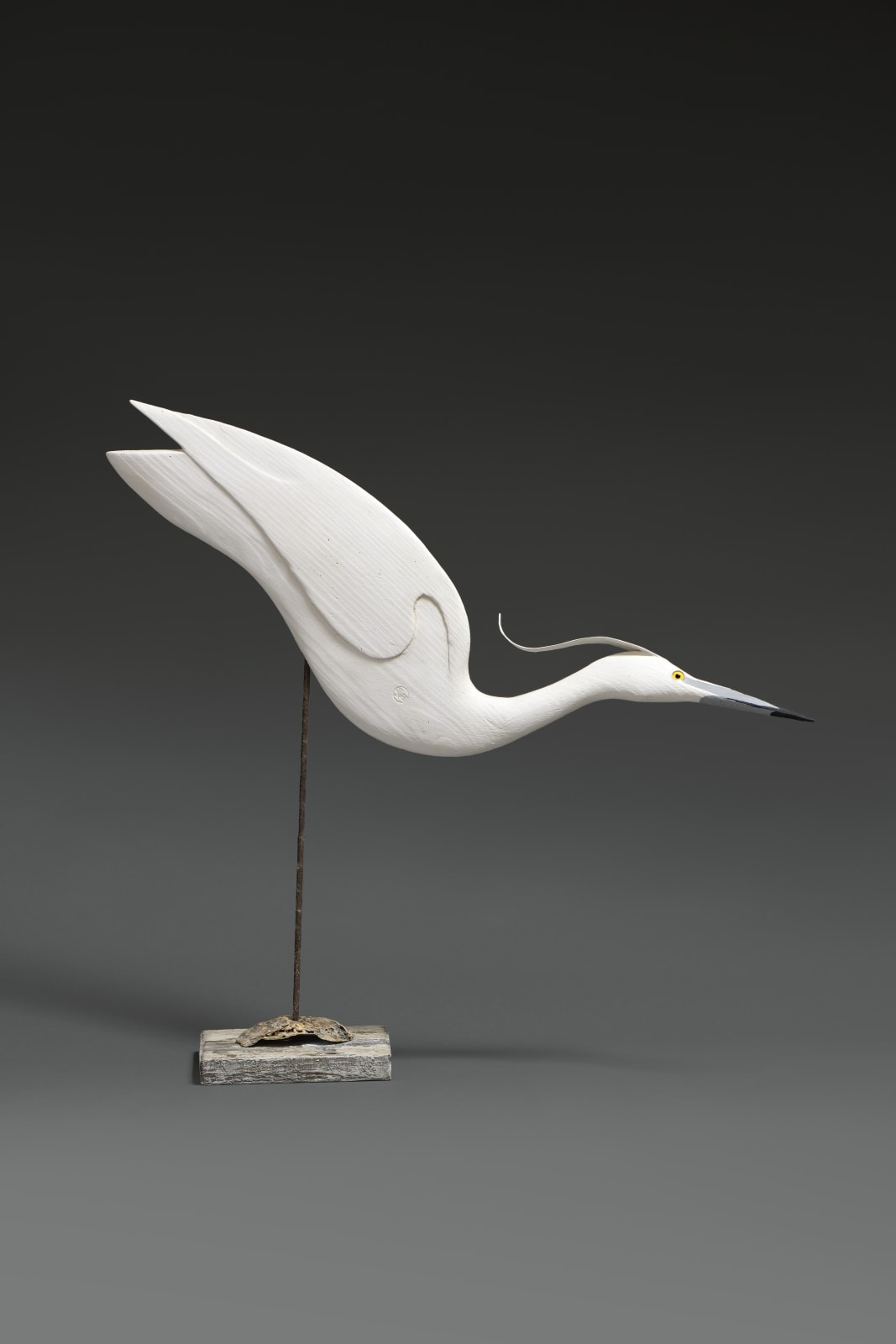 Stephen Henderson, Freak little Egret