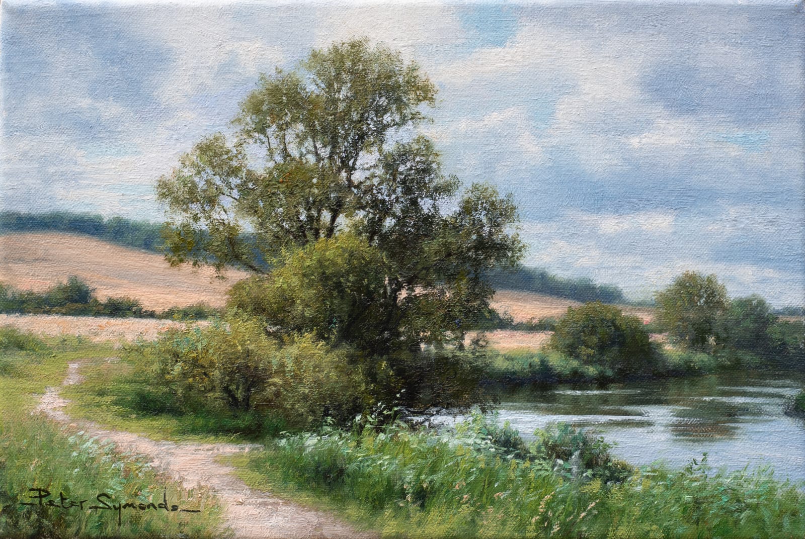 Peter Symonds, River Arun, Amberley