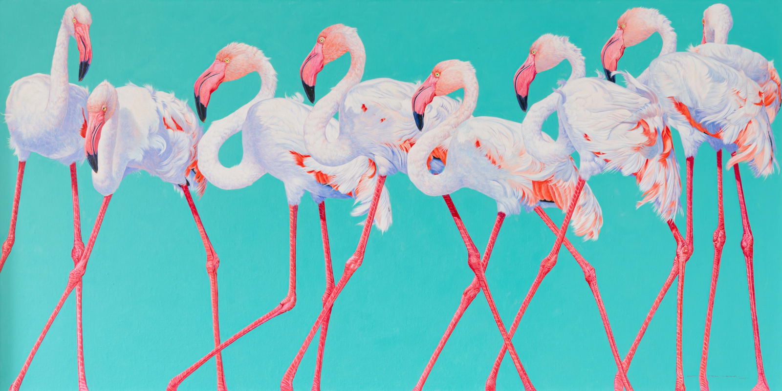 David Ord Kerr, Flamingos Gogo