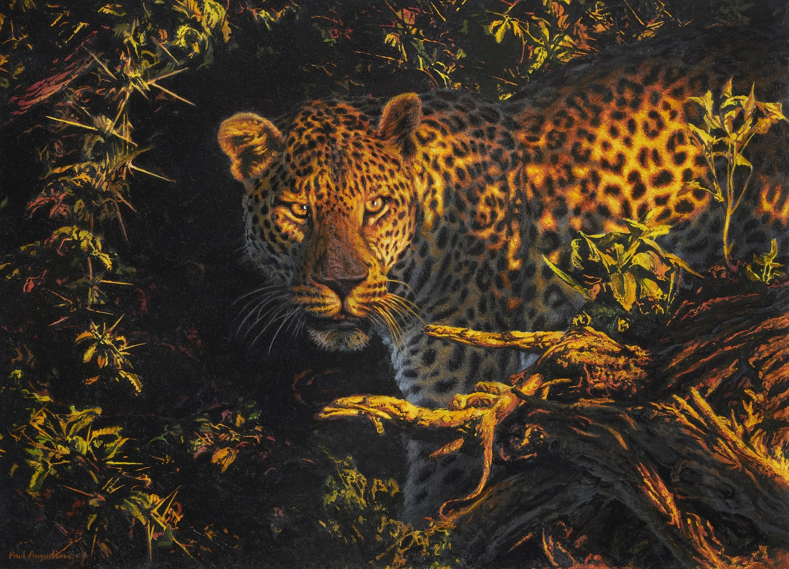 Paul Augustinus, Cold stare - Warm light