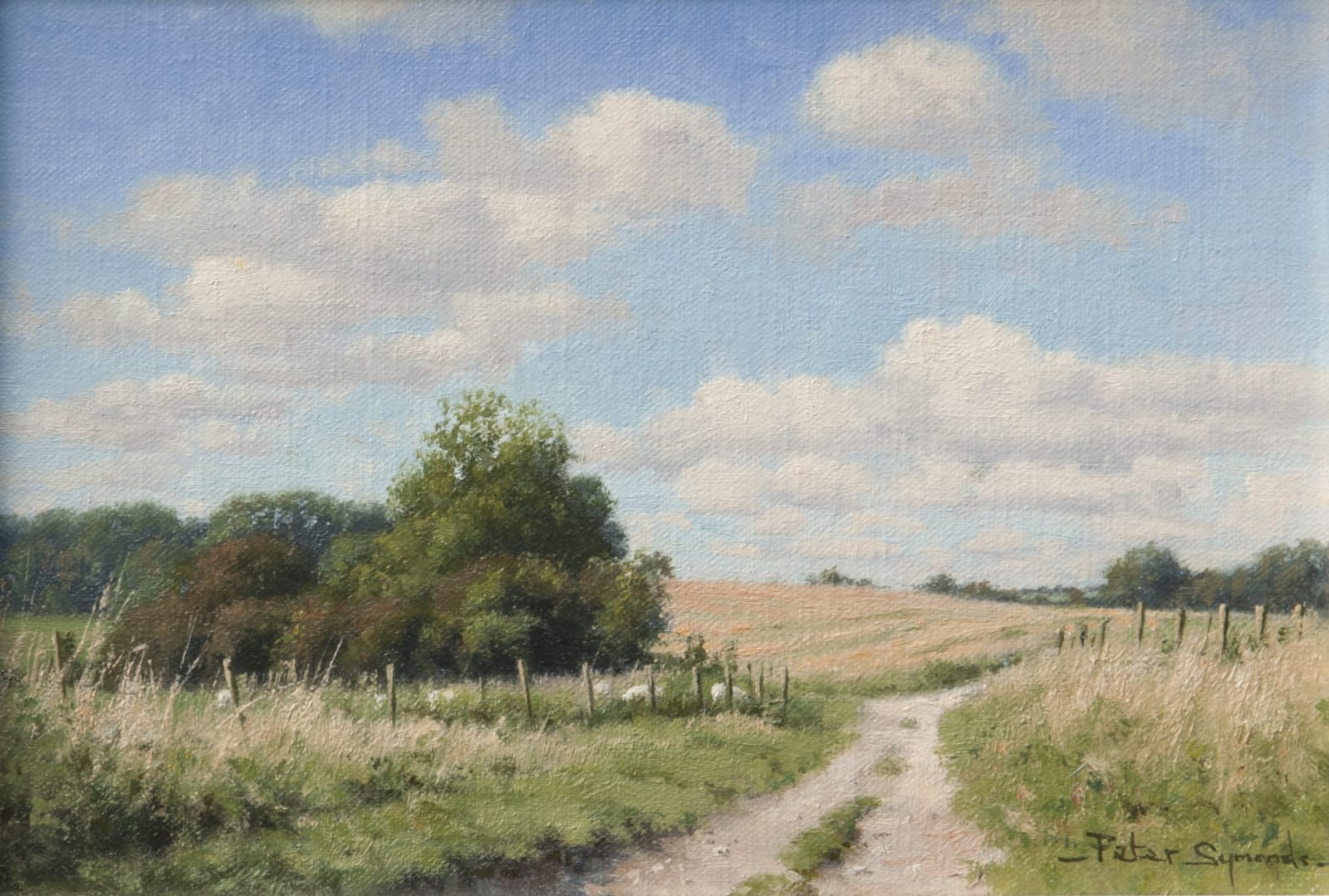 Peter Symonds, The South Downs Way, near Chanctonbury Ring, West Sussex