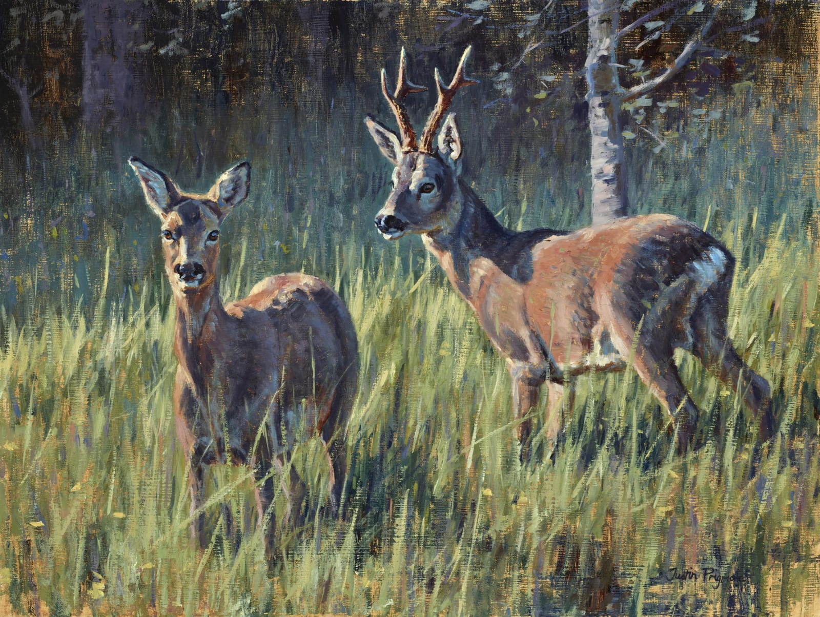 Justin Prigmore, Smooth Operator (roe deer)