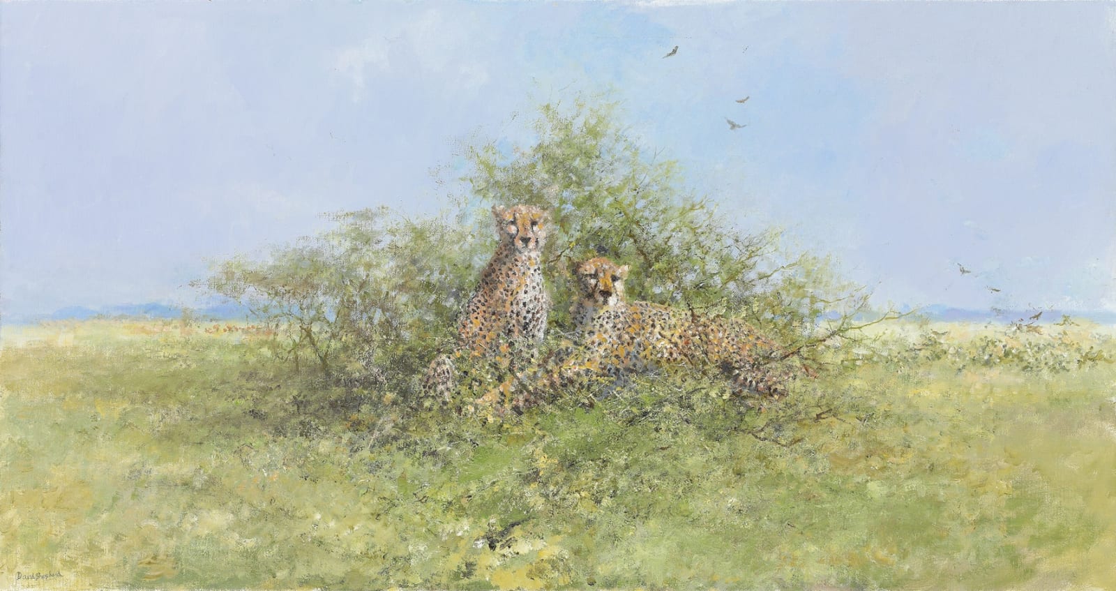 David Shepherd, CBE, Cheetah Look Out