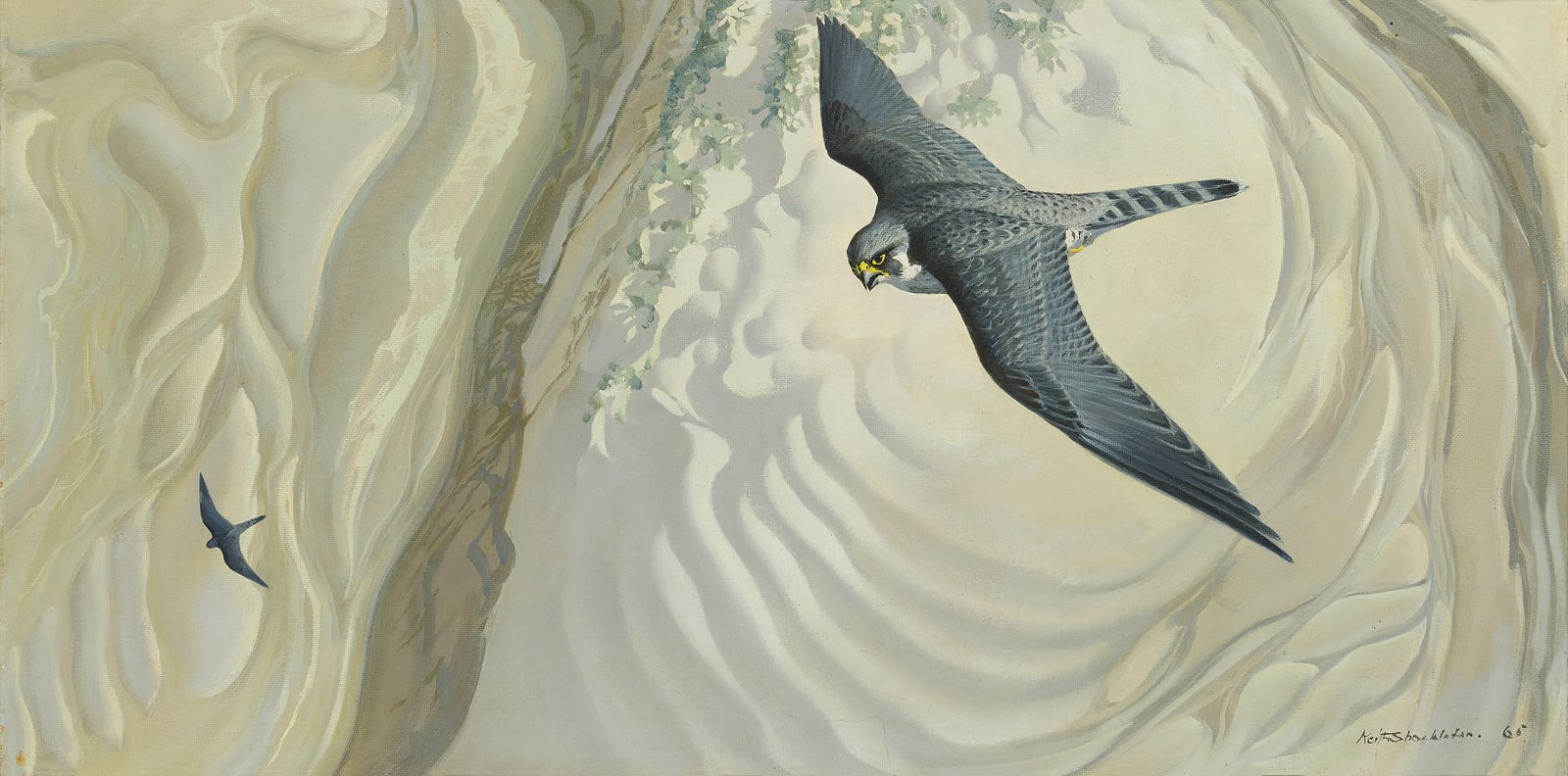 Keith Hope Shackleton, MBE, Peregrine