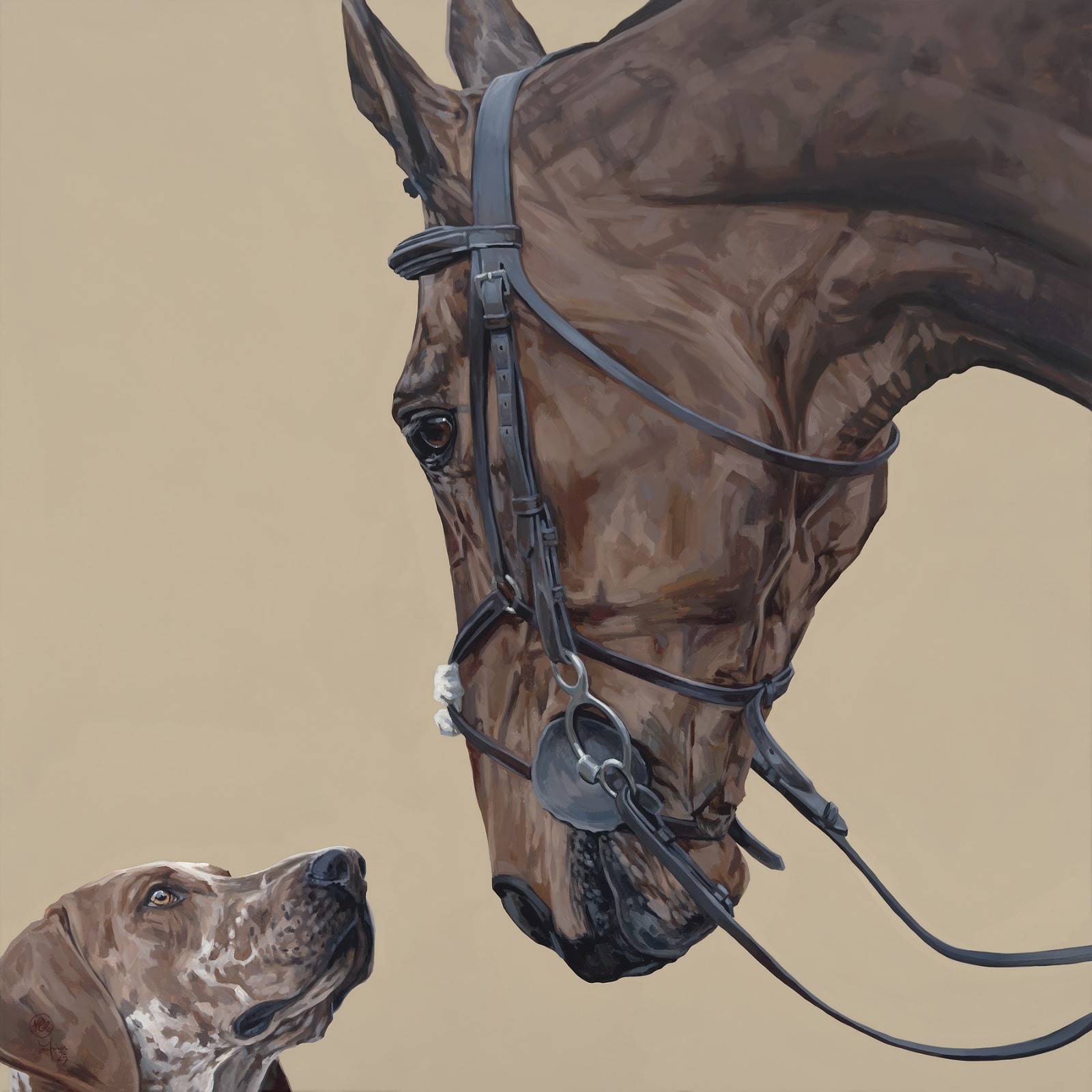 Tania Still, North Cornwall