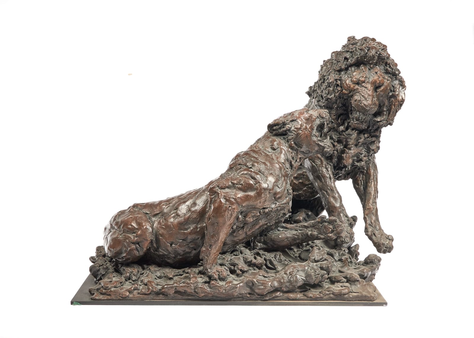 Jonathan Kenworthy, Fighting lion and lioness