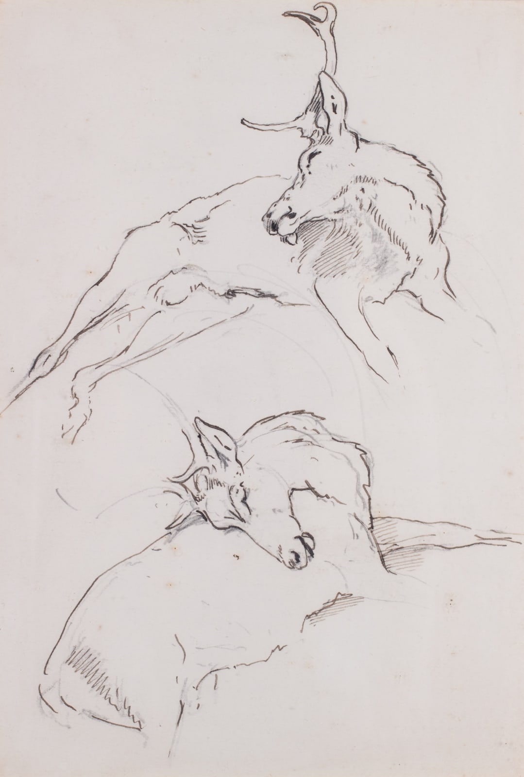 William Woodhouse, Double-sided Stalking study II