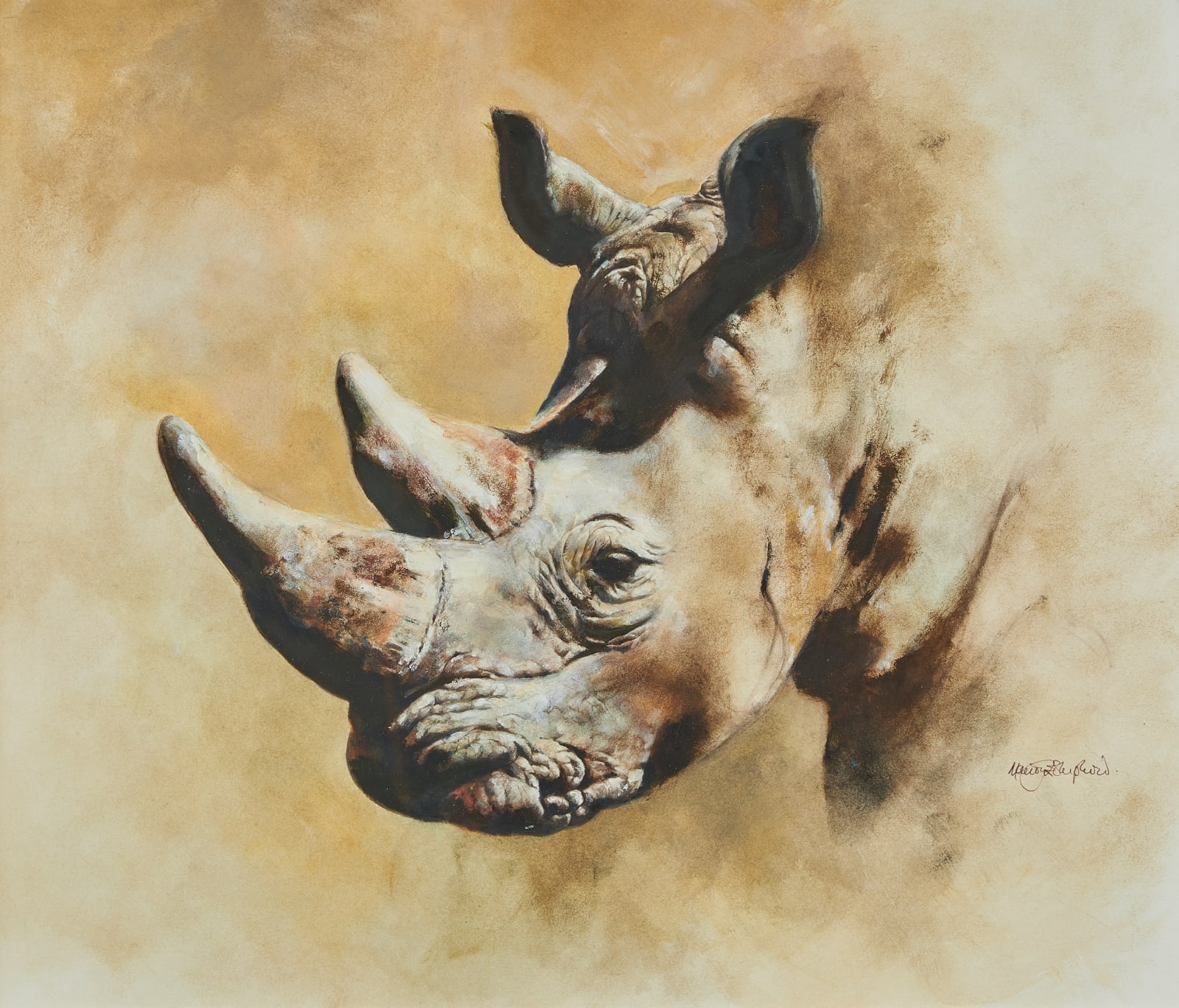 Mandy Shepherd, Rhino