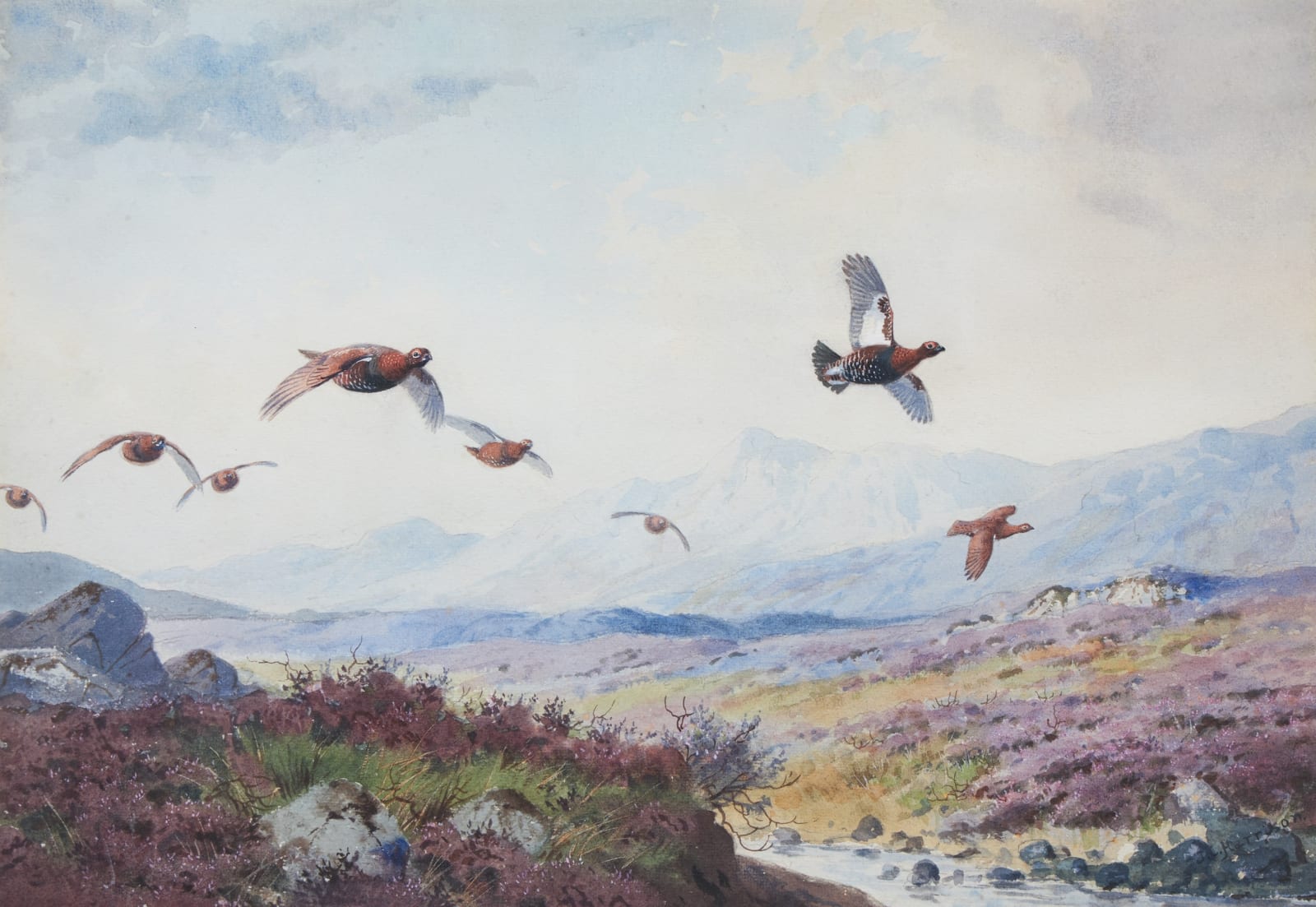 John Cyril Harrison, Down the Burn Grouse