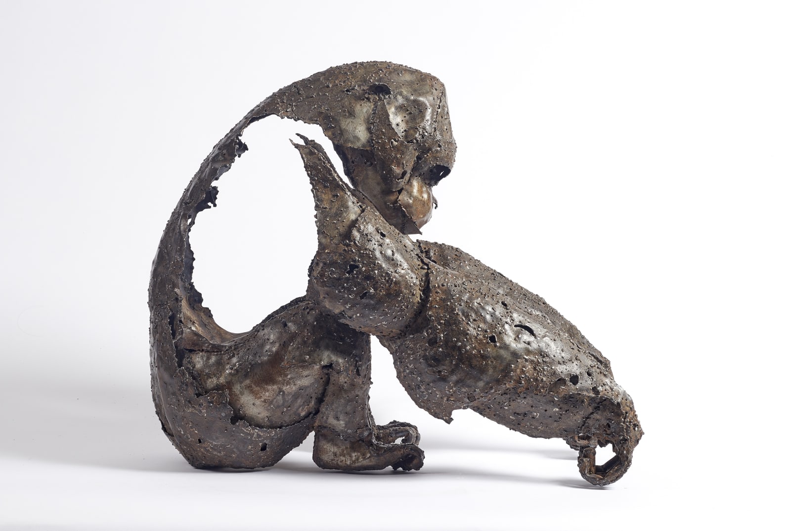 Pascal Chesneau, Gorilla