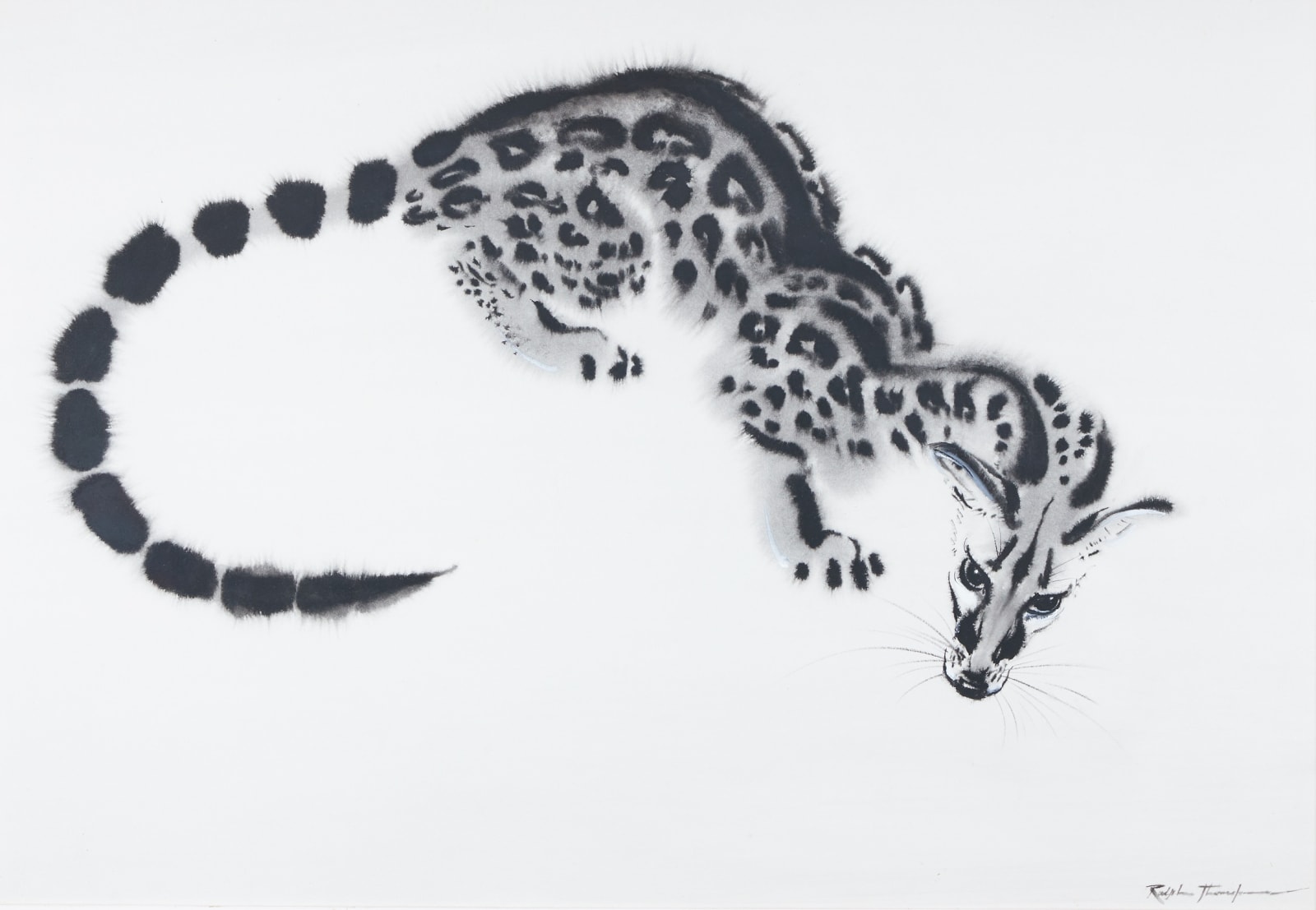 Ralph Thompson, Genet