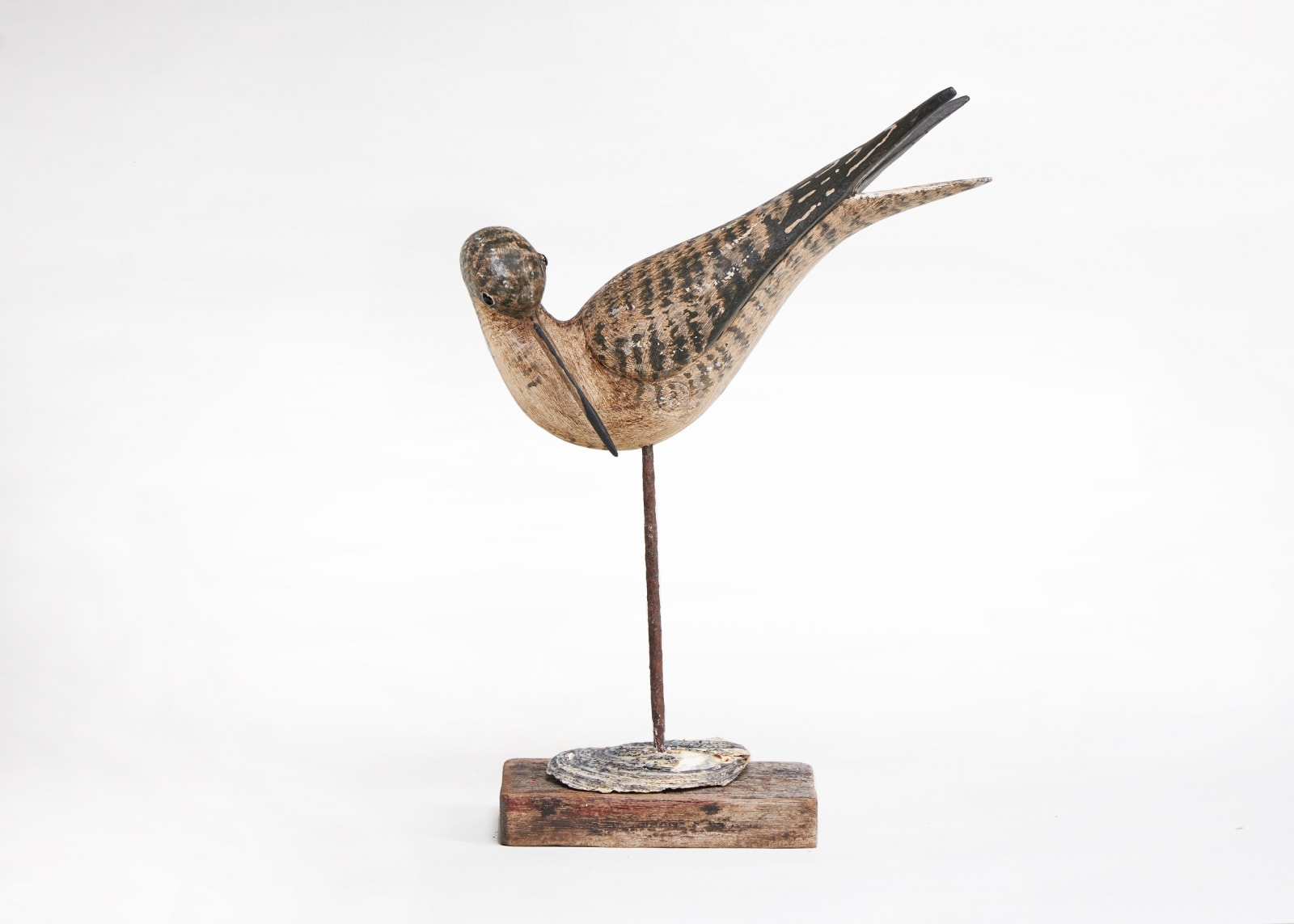 Stephen Henderson, Preening shorebird