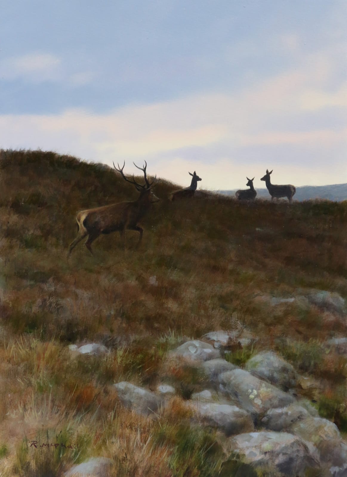 Rodger McPhail, Red Deer on the skyline