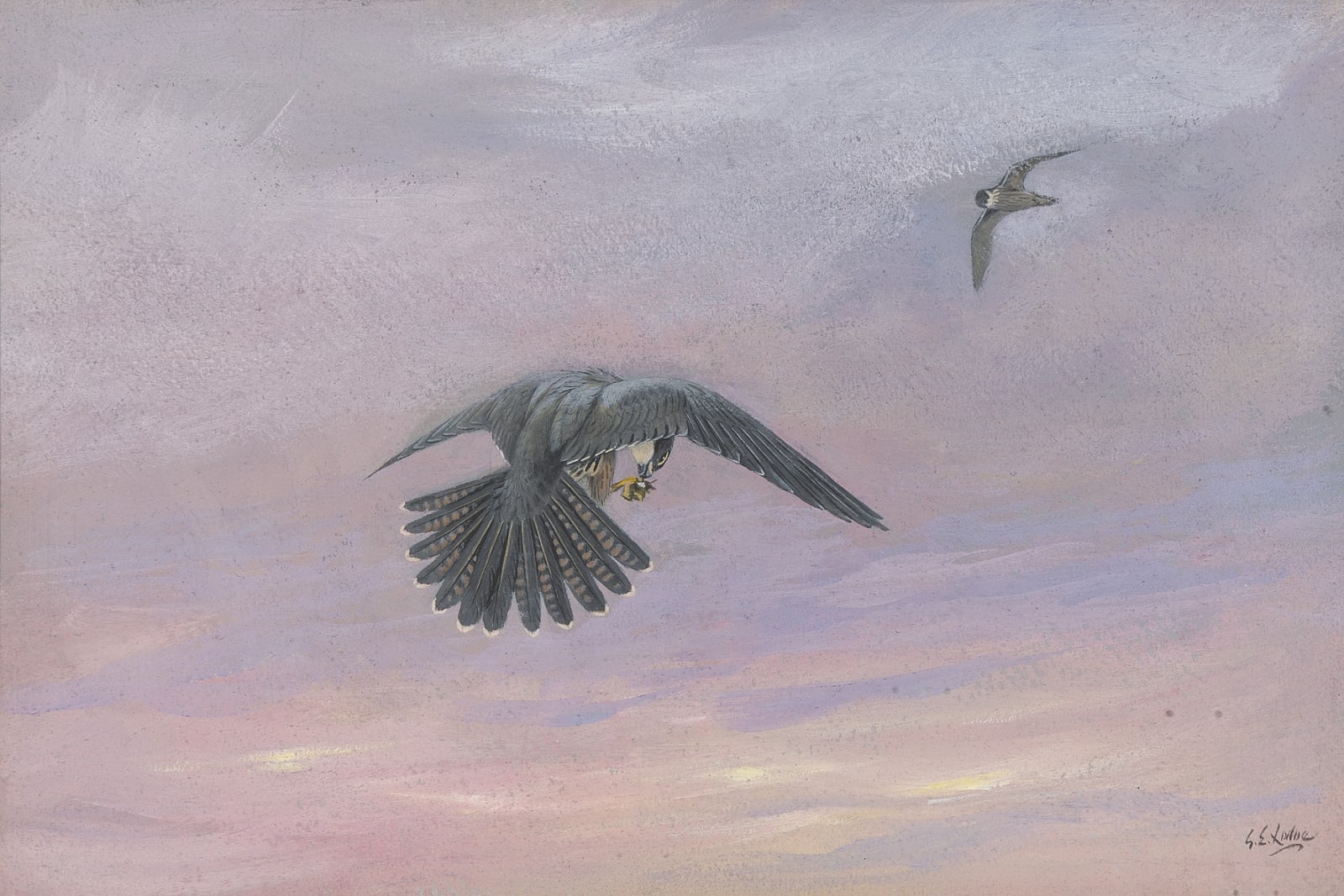 George Edward Lodge, Hobbies