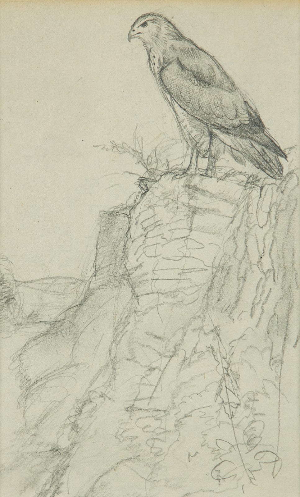 Charles Frederick Tunnicliffe, RA, Buzzard perching on a wall