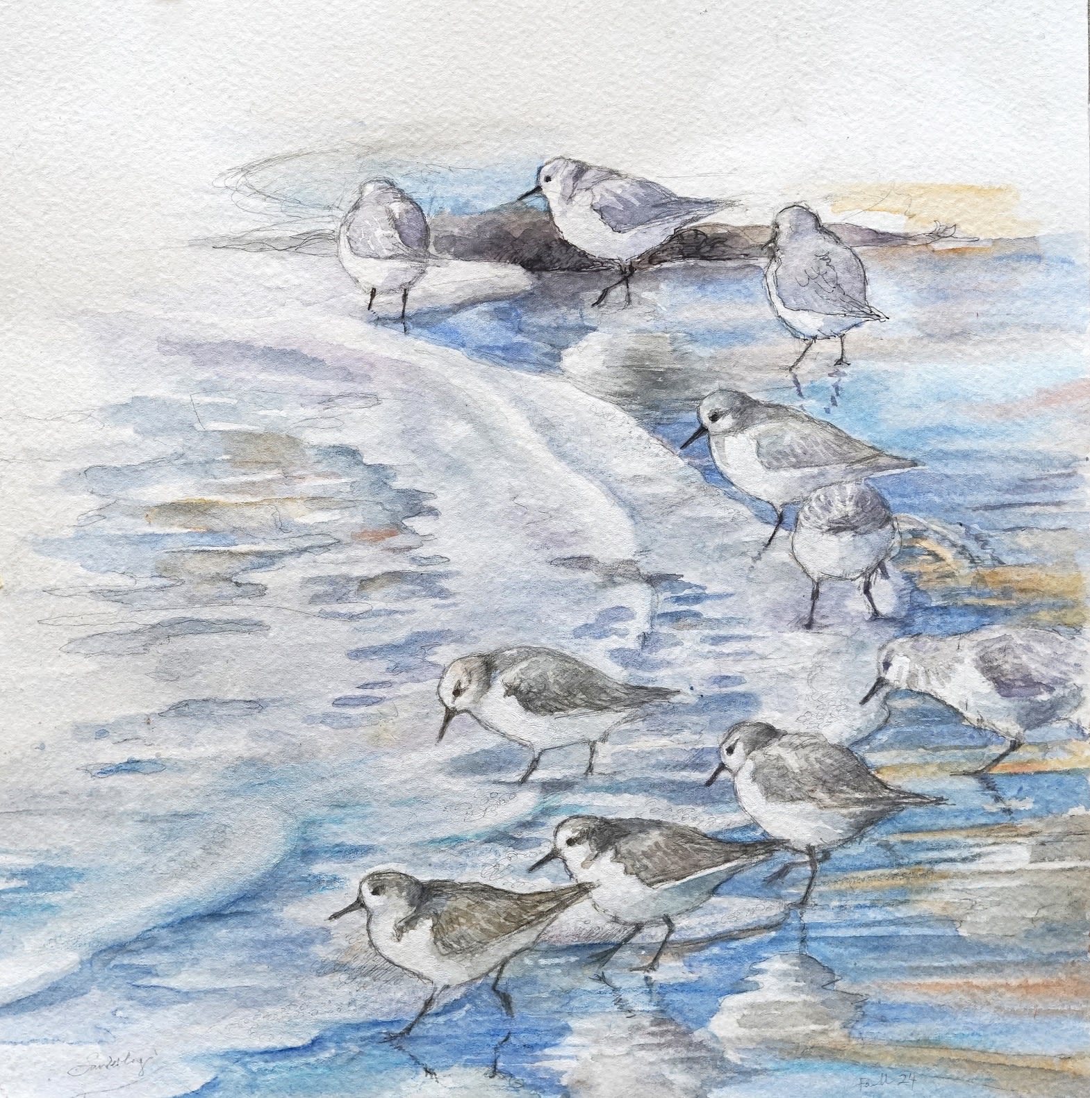 Emma Faull, Sanderling I