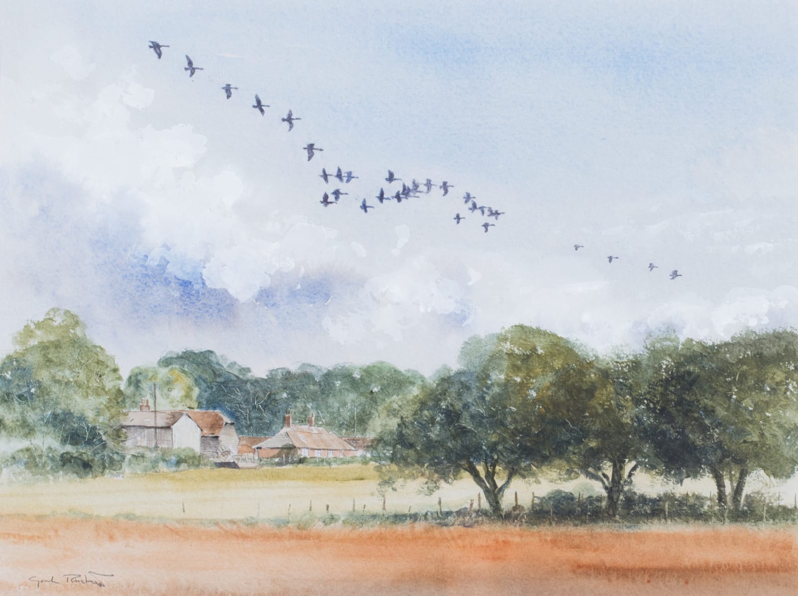 Gordon Rushmer, Canada geese over Coultershaw Farm