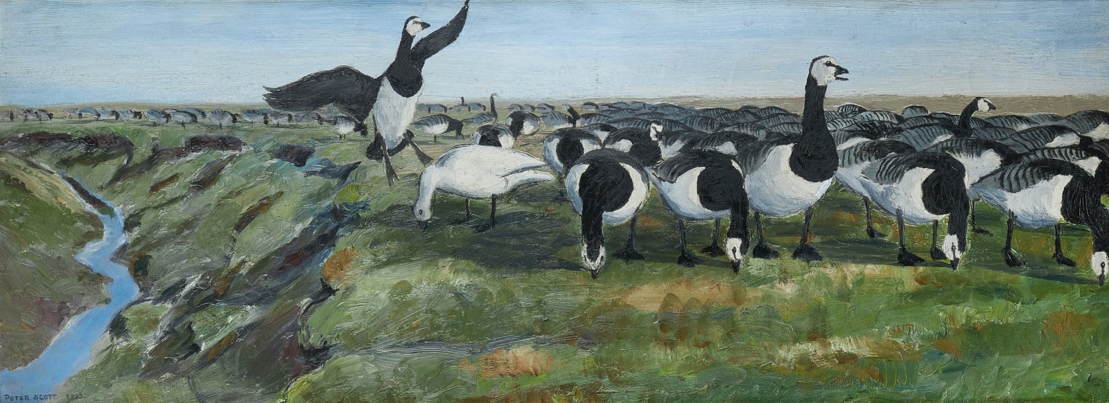Sir Peter Markham Scott, Barnacle Geese