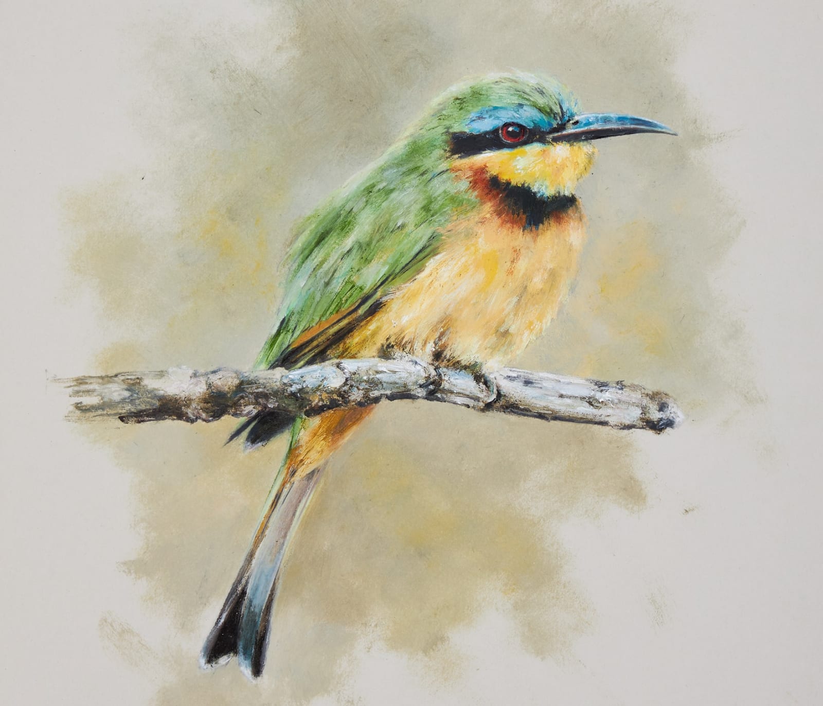 Mandy Shepherd, Little bee-eater
