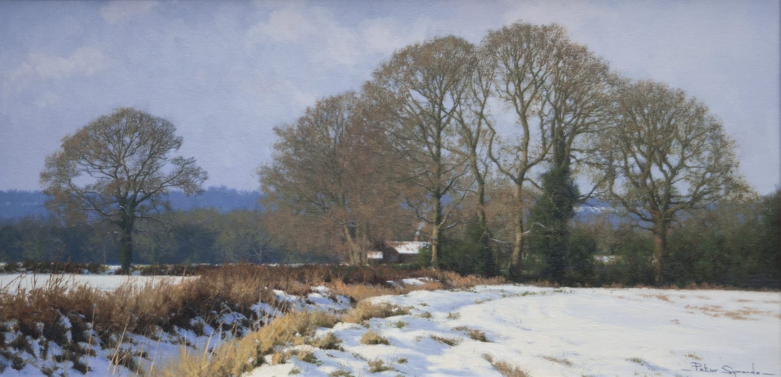 Peter Symonds, A Winter landscape, the Surrey Hills