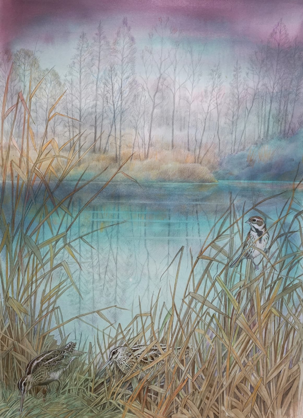 Emma Faull, Snipe and Reed Bunting