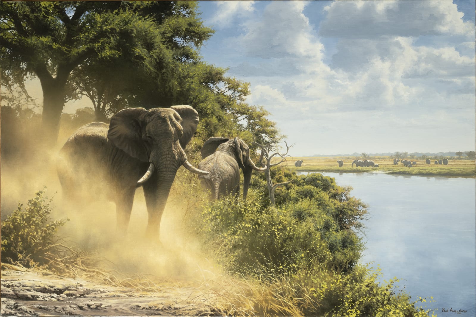 Paul Augustinus, Refugia Series: Opposite Sedudu Island, Chobe, 1968