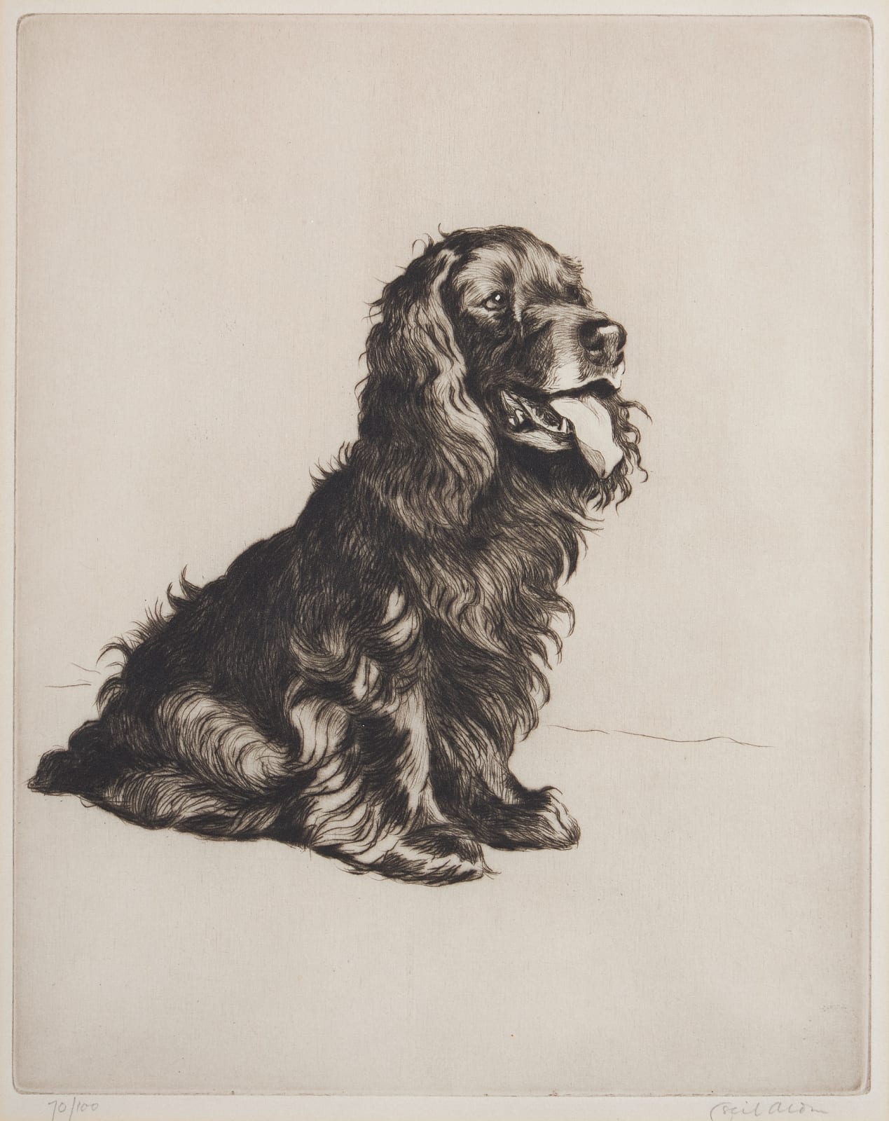 Cecil Charles Windsor Aldin, Most popular gentleman