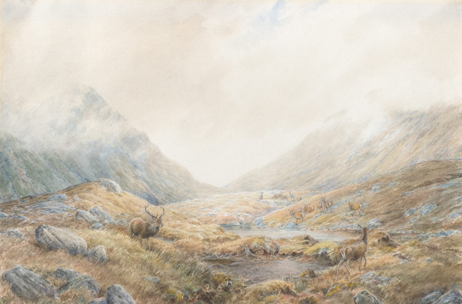 Vincent Balfour-Browne, 'Thanks to the recalcitrant hind'