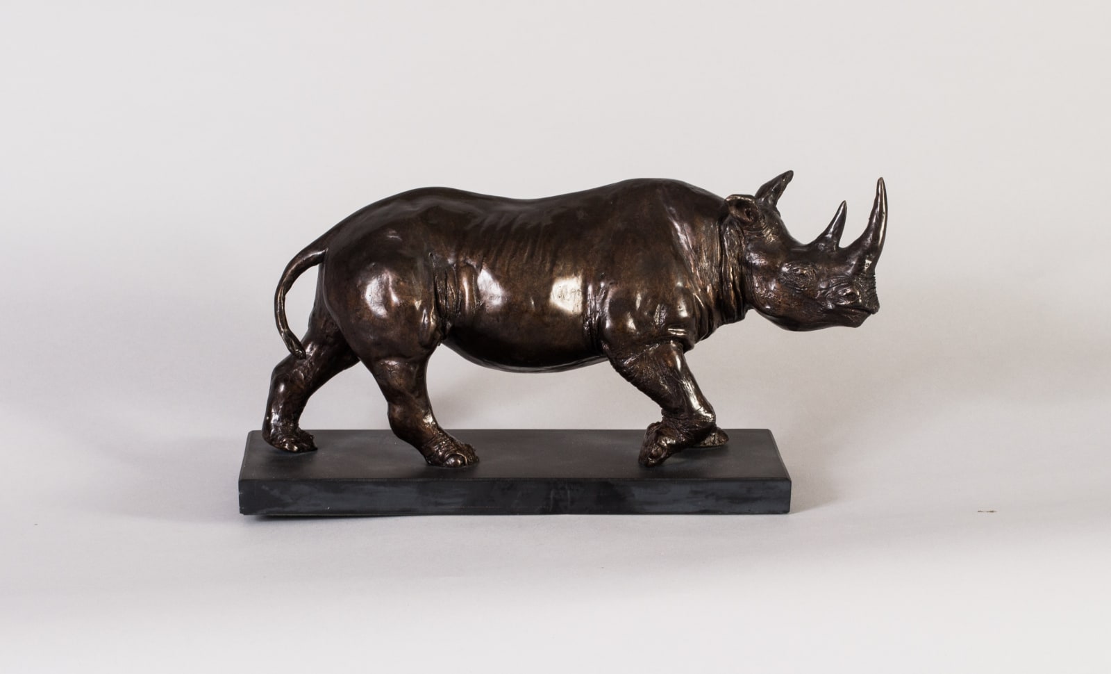 Malcolm Stathers, Rhino