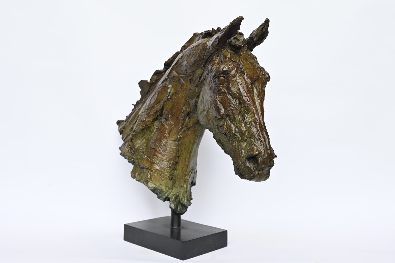 Holly Hickmore, Looking out