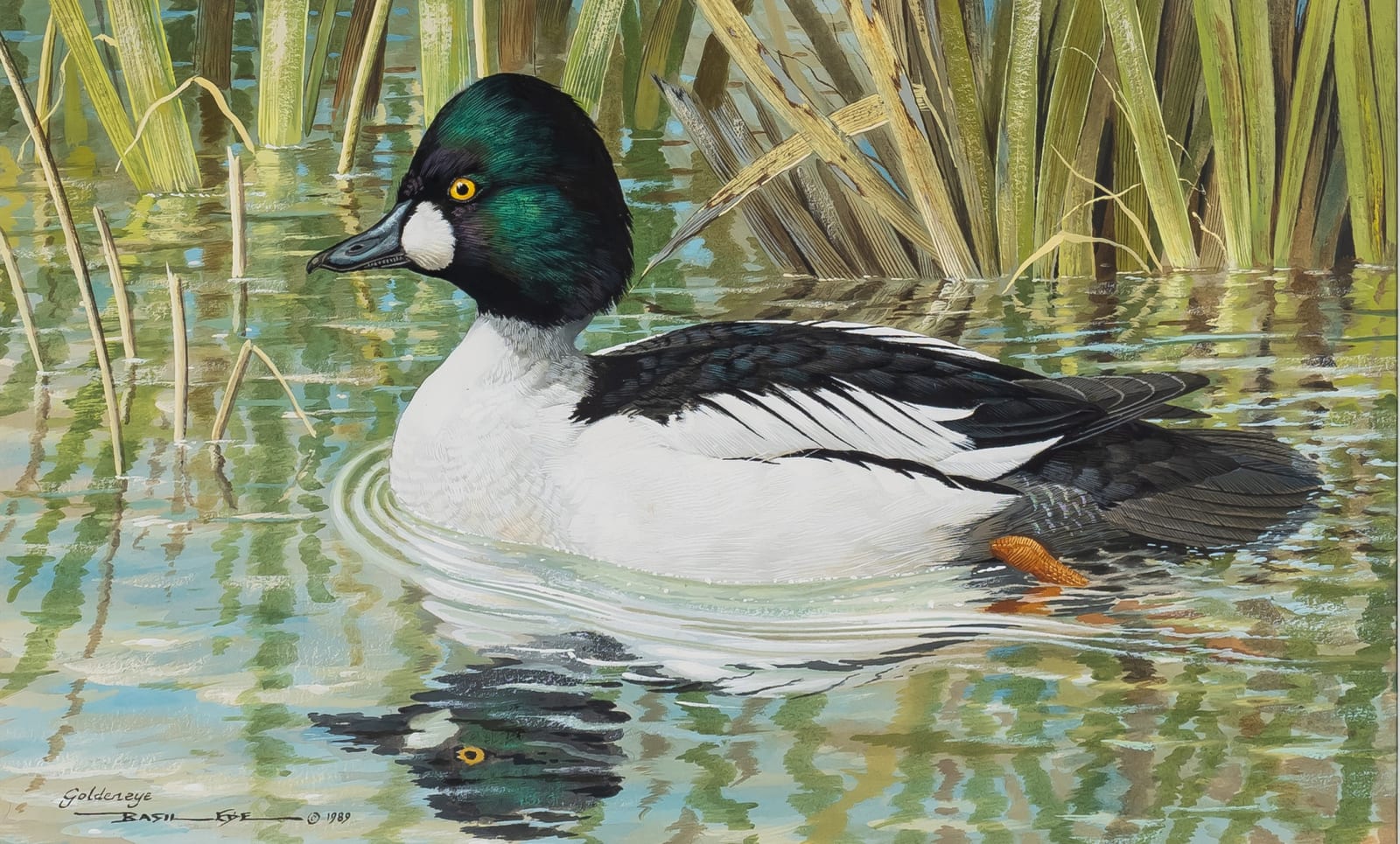Basil Ede, Goldeneye